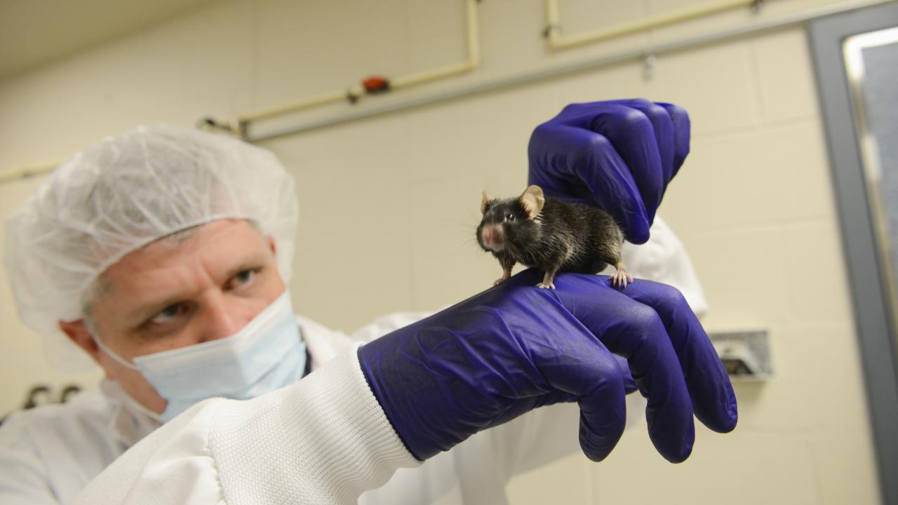 scientist with mouse