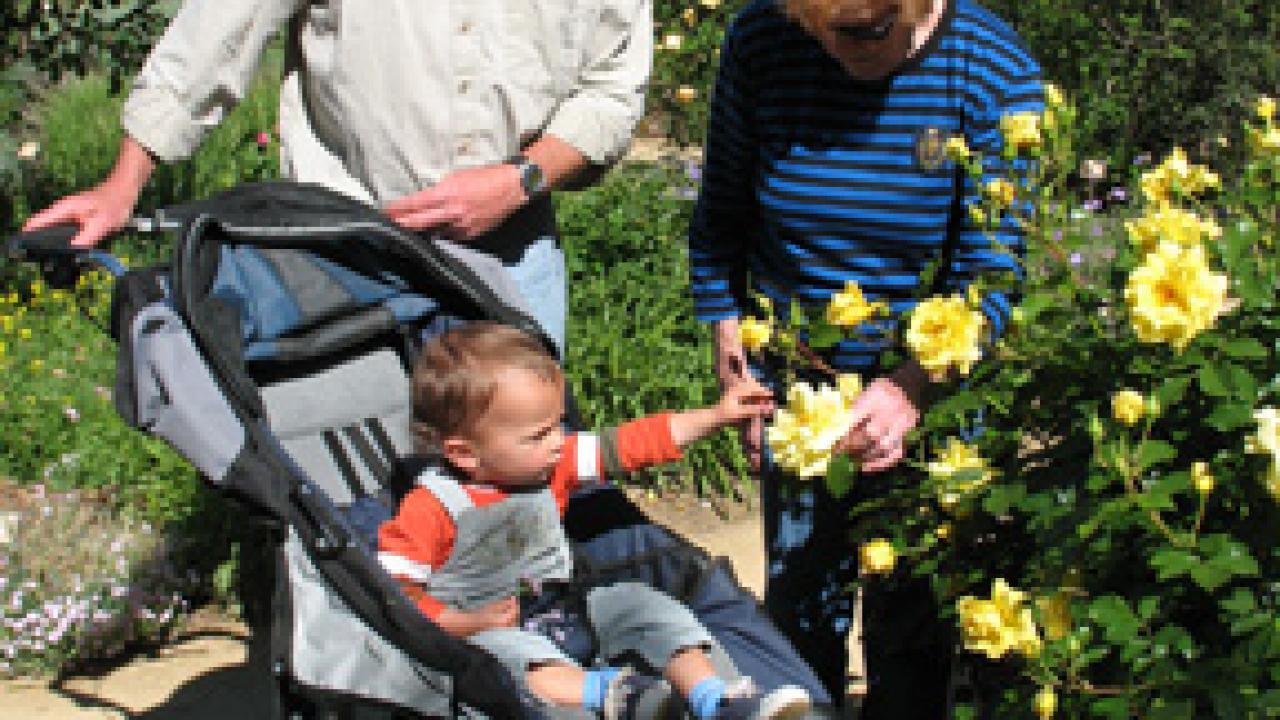 Three generations take a stroll through the arboretum's Storer Garden earlier this week. Pictured are Paul Kelly and son James, 15 months, from Davis,