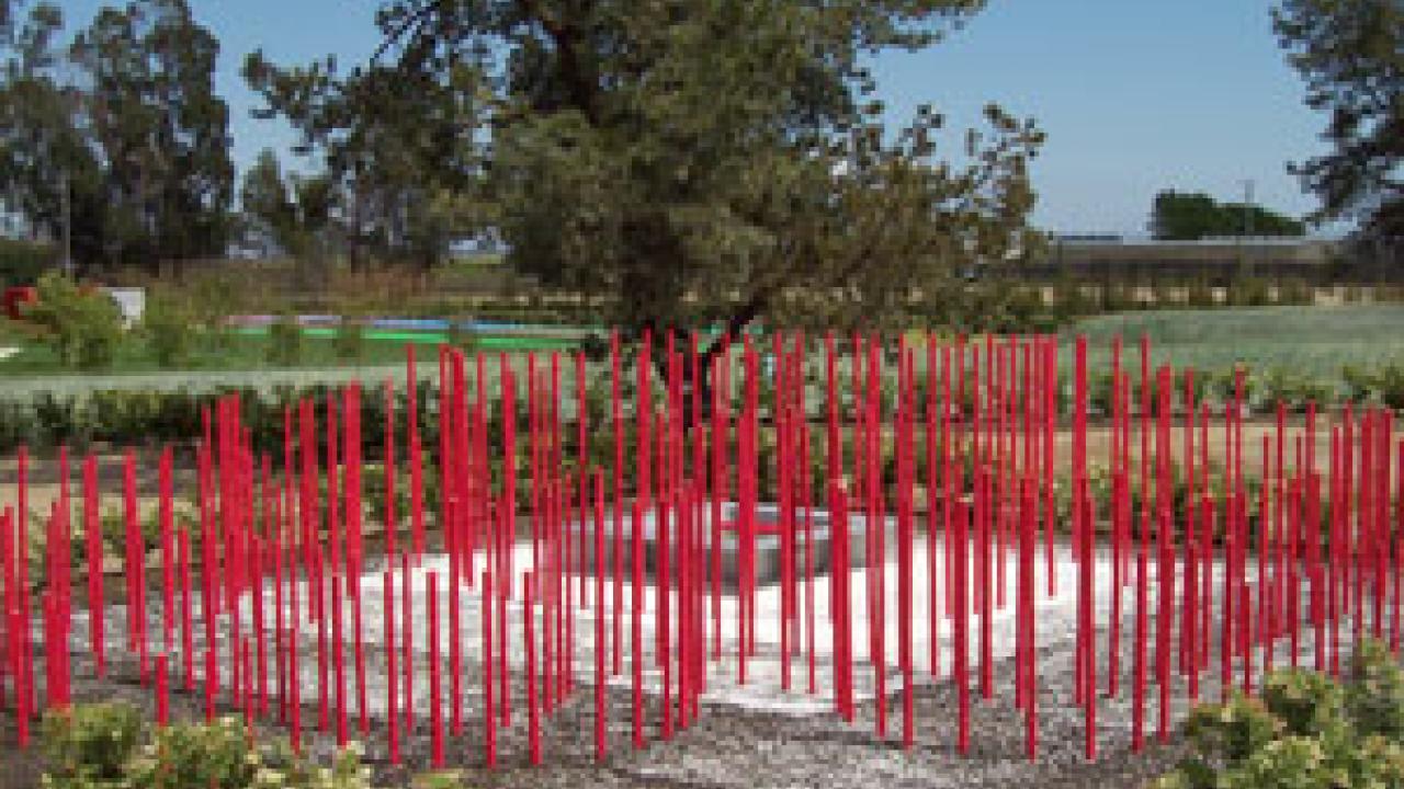 Cornerstones International Festival of Gardens features the work of six UC Davis students. The garden is designed to reflect "the concept of the attainment of knowledge," says student team leader Diana Walker-Smith.