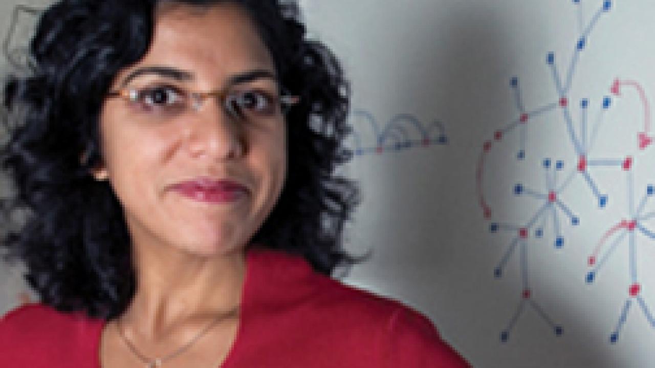 Raissa D'Souza, an assistant professor at the Department of Mechanical and Aeronautical Engineering