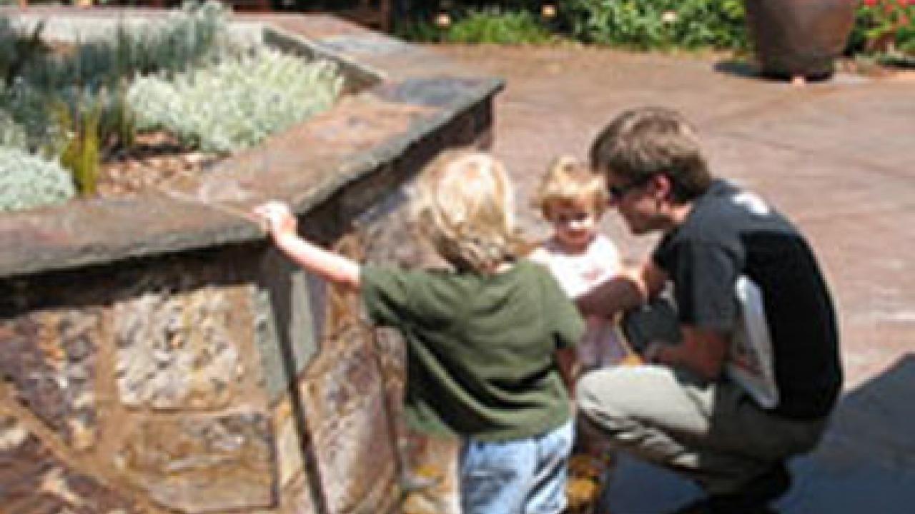 Simon Sadler, a professor in the Department of Art, Art History and Technocultural Studies, plays in the garden&rsquo;s centerpiece fountain with his children, Henry, 4, and Imogen, 2, last weekend.
