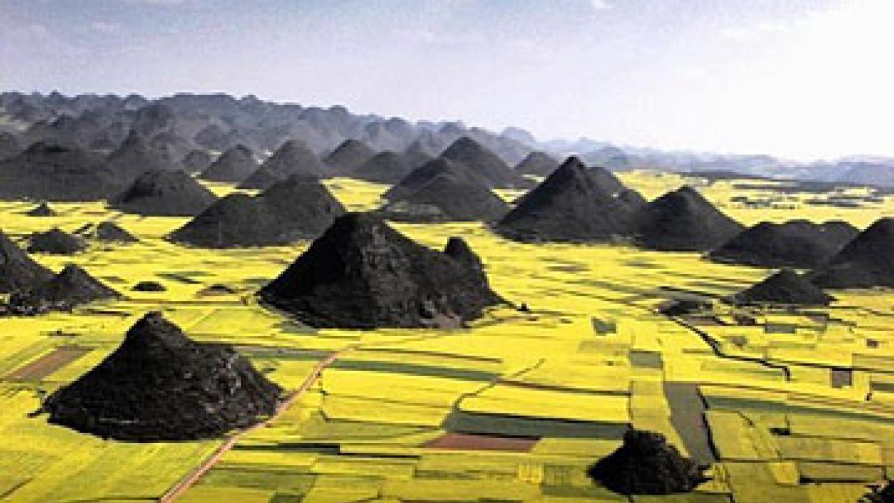 Photo: Golden fields with various hills