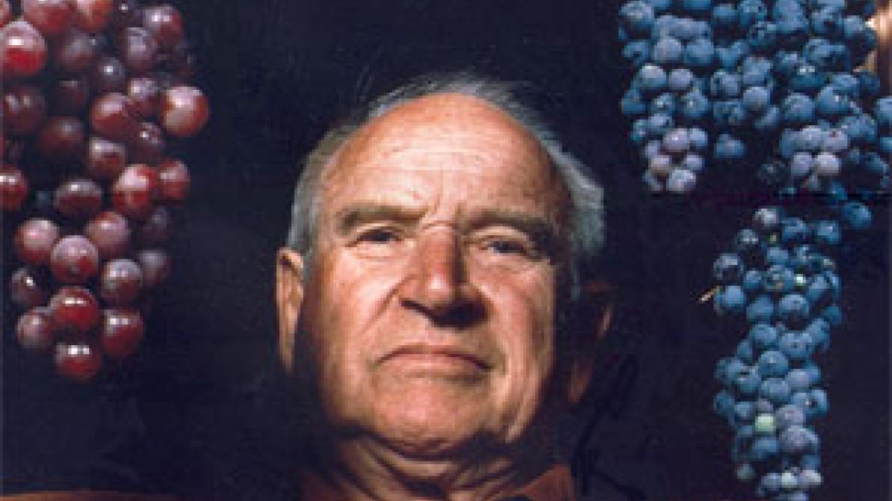 photo: Man holding two bunches of grapes
