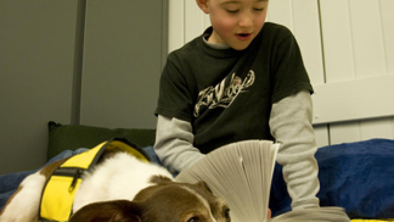 Seven-year-old Zachary Callahan from Davis reads a Harry Potter book to Lollipop, a Chihuahua-terrier mix.