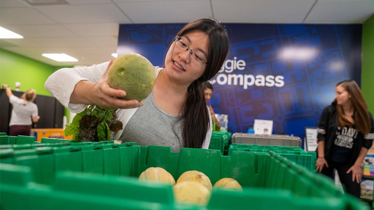 Female student selects melon at UC Davis' Aggie Compass