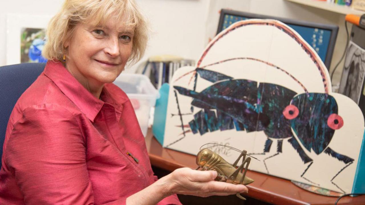 Ann Hedrick and cricket art