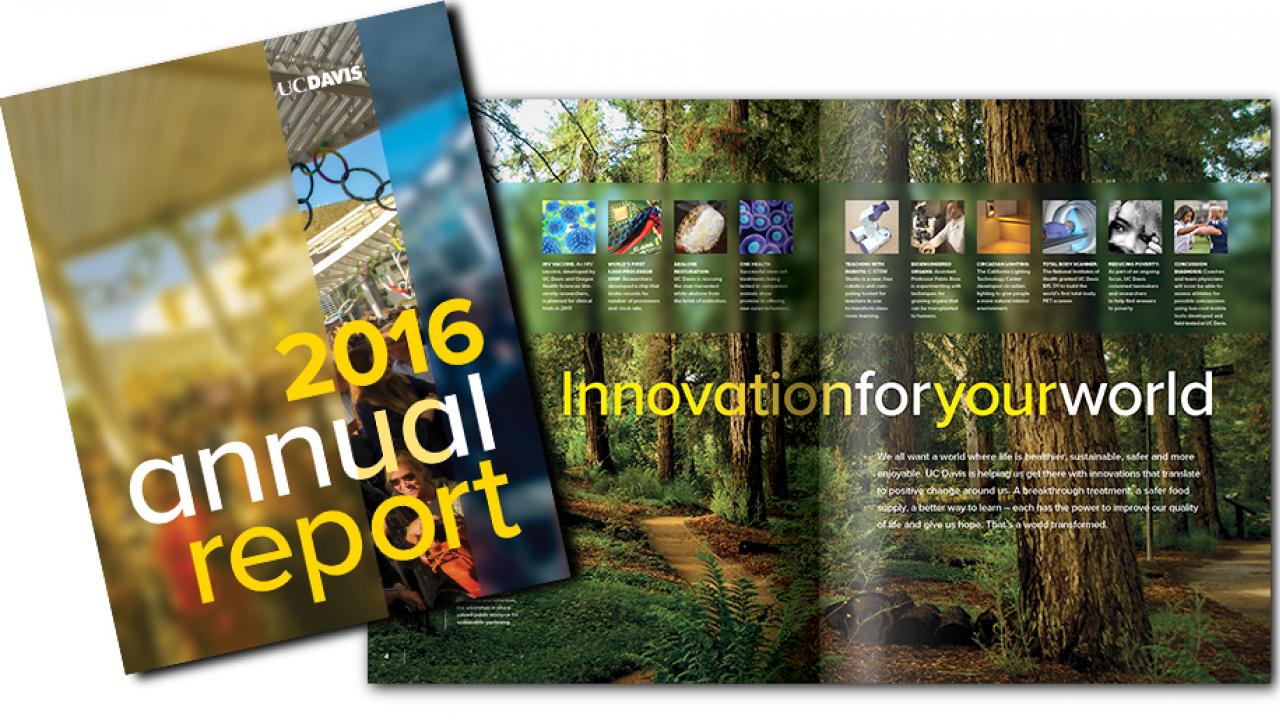 Annual report composite: cover and "Innovation for Your World" two-page spread.
