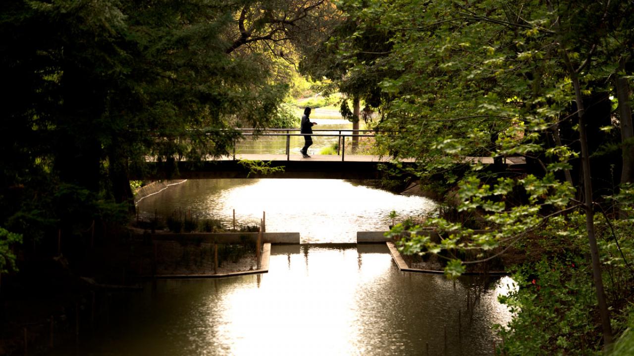 Lone person walks across bridge along Arboretum Waterway, sun shining under bridge.