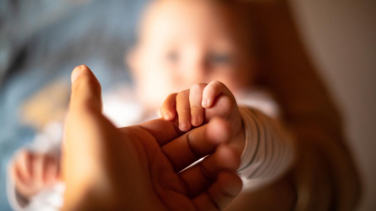 Baby grasps an adult's finger.