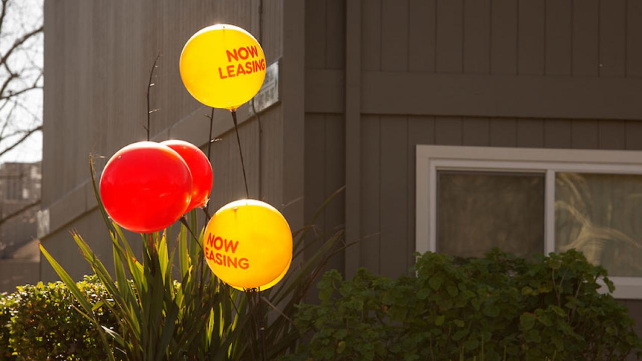 A bunch of balloons advertise an apartment for lease