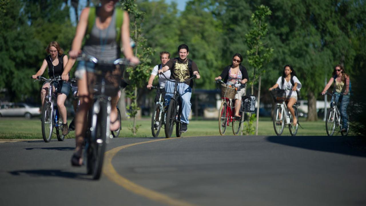 Photo: Bicyclists ride on campus path.