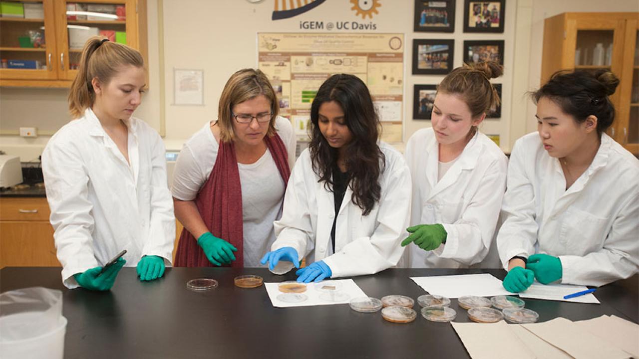 A professor and students look at experiment results at a lab bench.