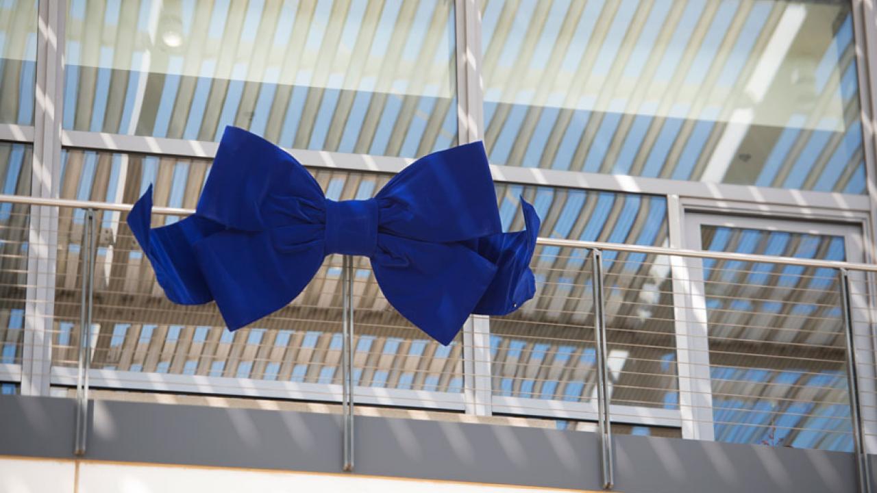 Large blue bow on Mondavi Center's balcony railing