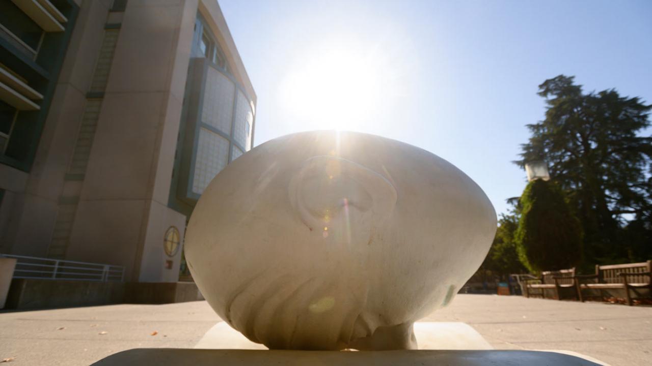 "Bookhead": Egghead sculpture, nose in book, sun behind