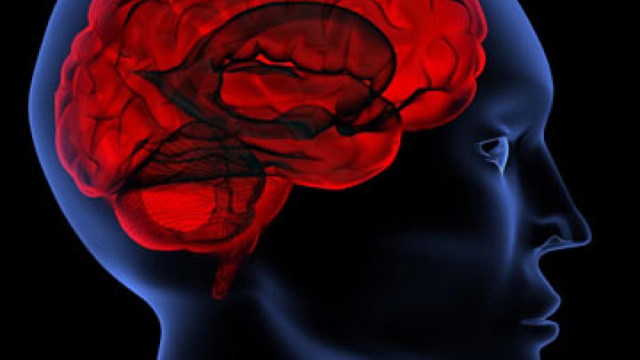 Graphic: brain inside a human