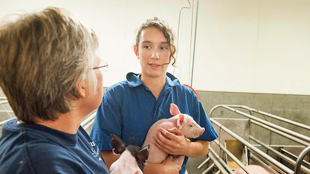 Two women talking in a swine facility while holding piglets