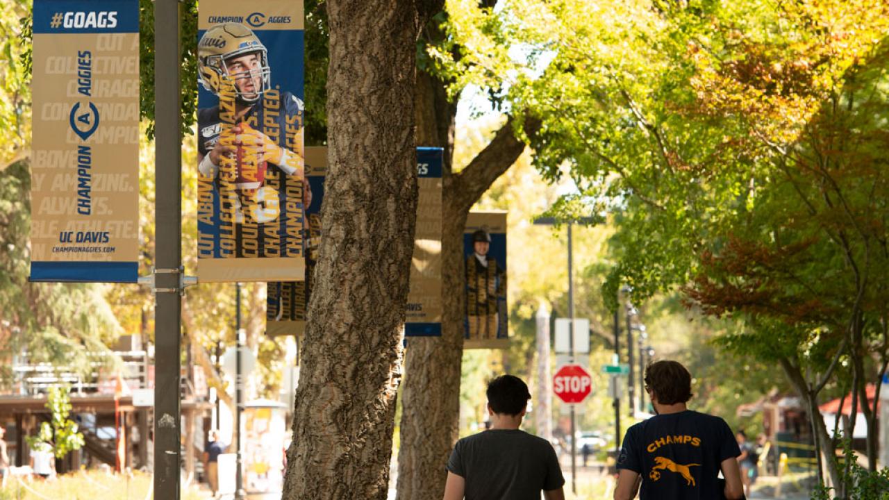 "Champion Aggies" campaign banners on lightpoles