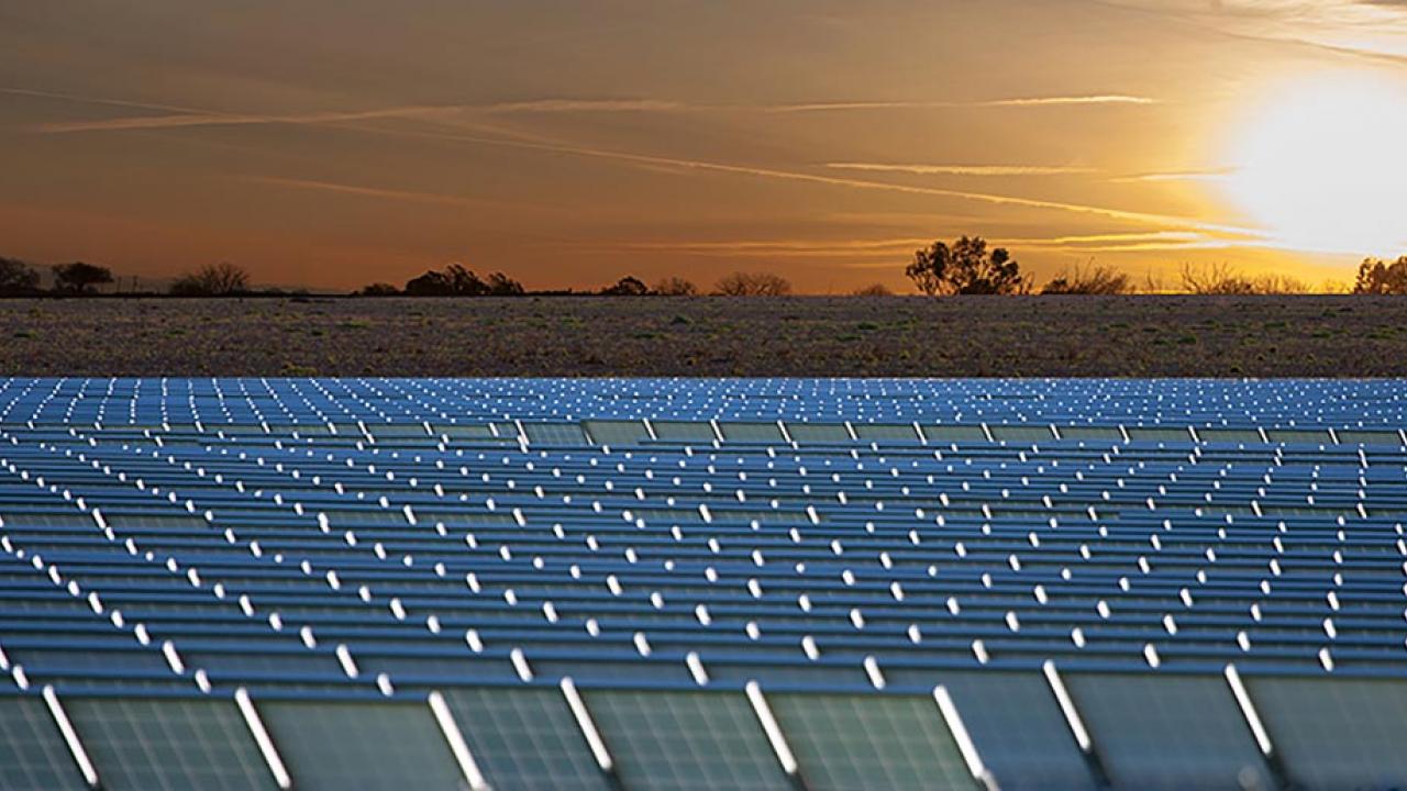 Photo illustration: Solar farm superimposed on UC Davis property, looking east into the sunrise