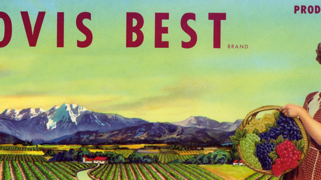 Fruit box label saying 'Clovis Best" with a woman standing with a basket of fruit