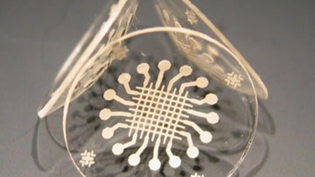 Photo: three contact lenses