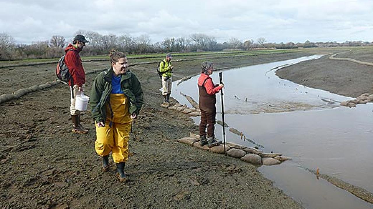 Four people in waders standing in mud near a stream