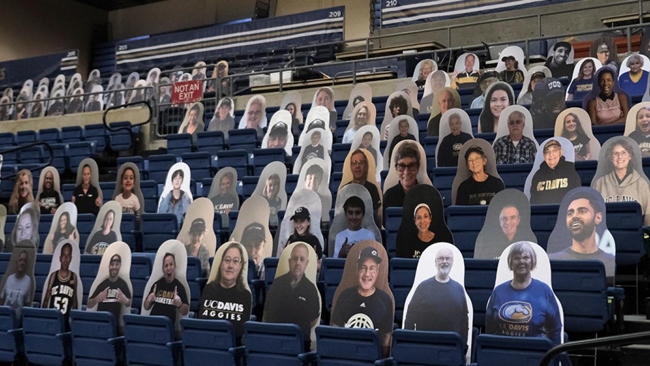 Cardboard cutouts of fans in stands.