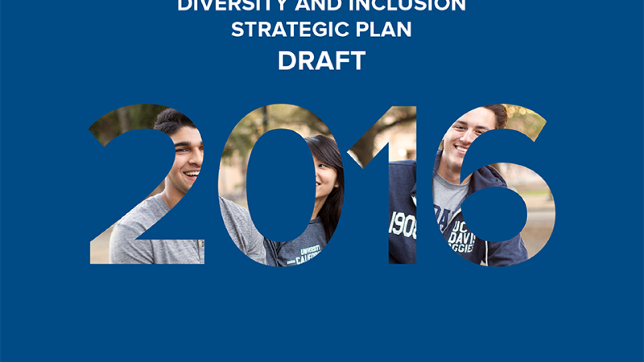 The cover for the Diversity and Inclusion Strategic Plan draft.