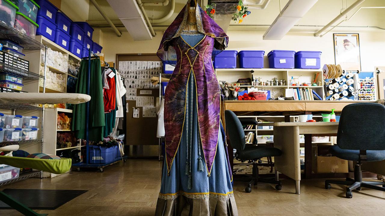 A dress in the Enchanted Cellar costume rental shop.