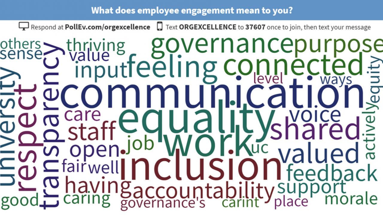 Word cloud, emphasizing "communication," "equality" and "inclusion"