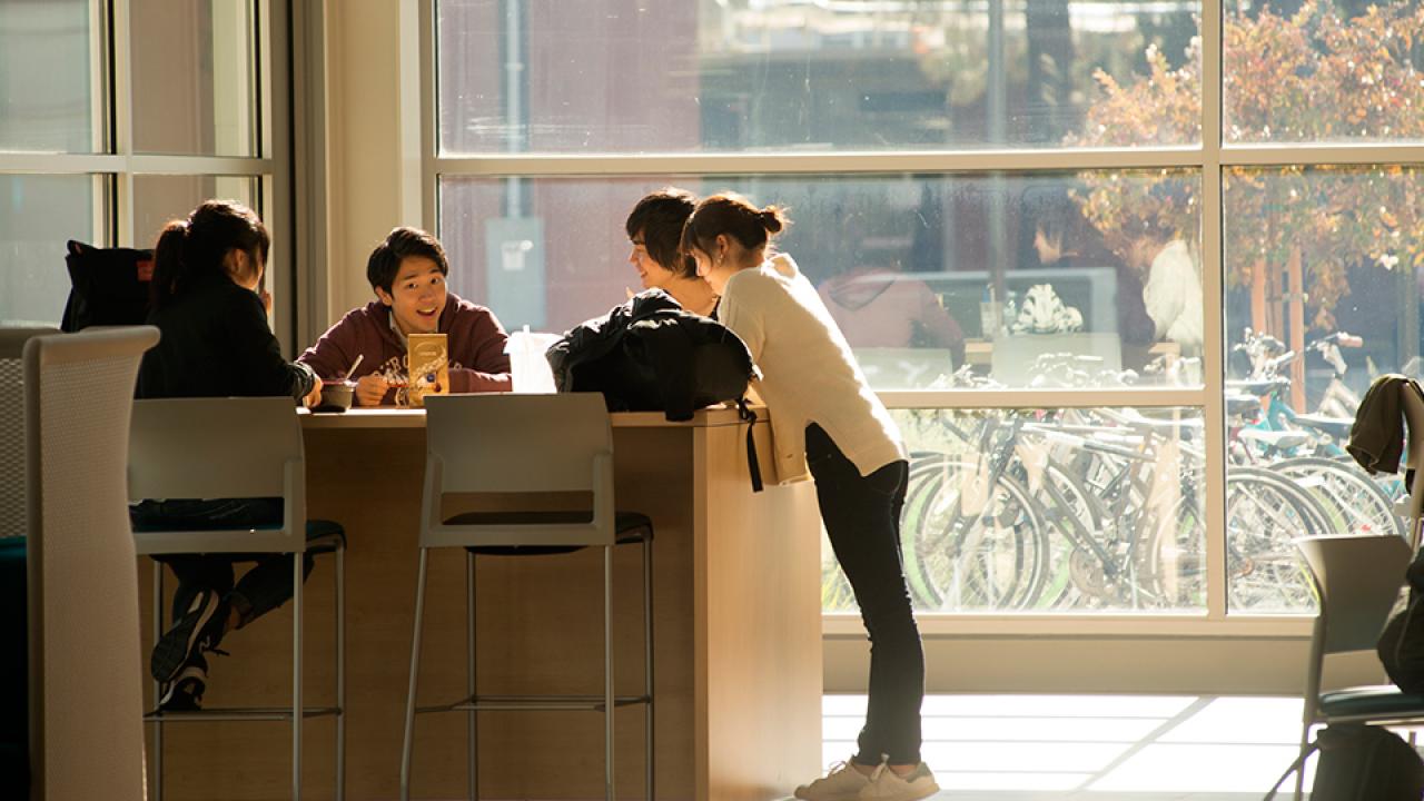 A group of students study together in a sunny atrium.