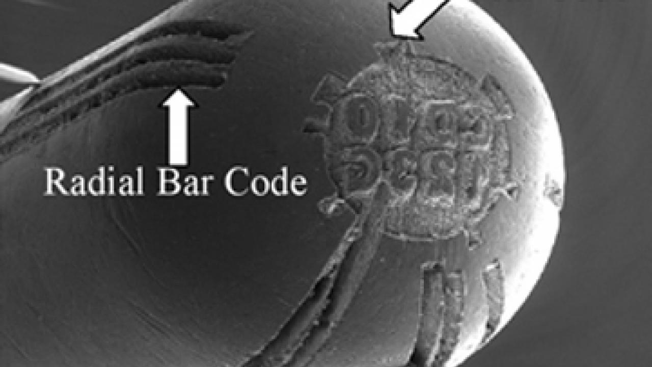 This is an actual photo of three engraved codes on a firing pin. The letter-number code on the head of the pin is not labeled.
