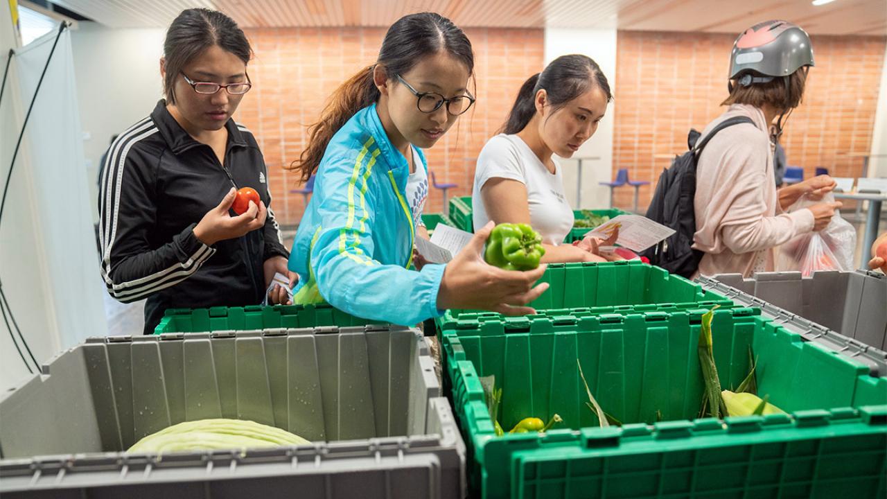 Three female students pick produce out of bins.