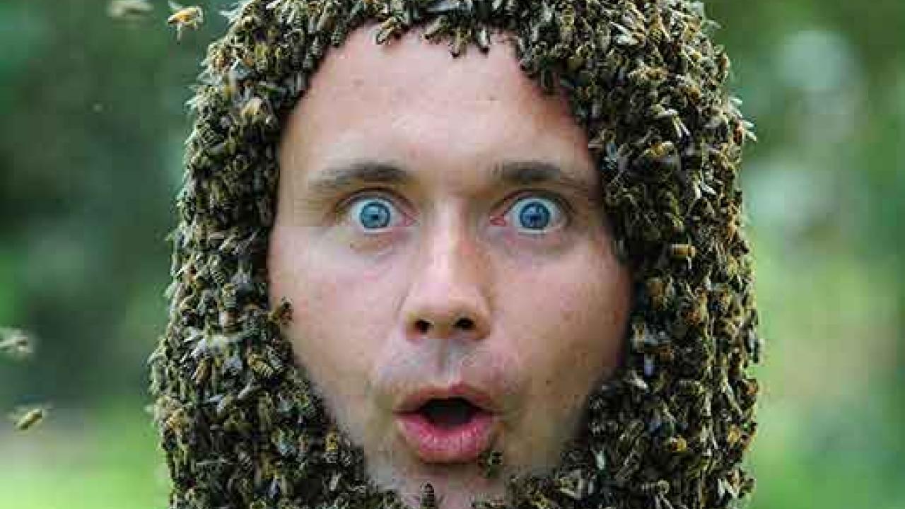Photo: Jakub Gabka from the shoulders up, with an estimated 15,000 bees making a "helmet" on his head (his face is mostly free of bees).