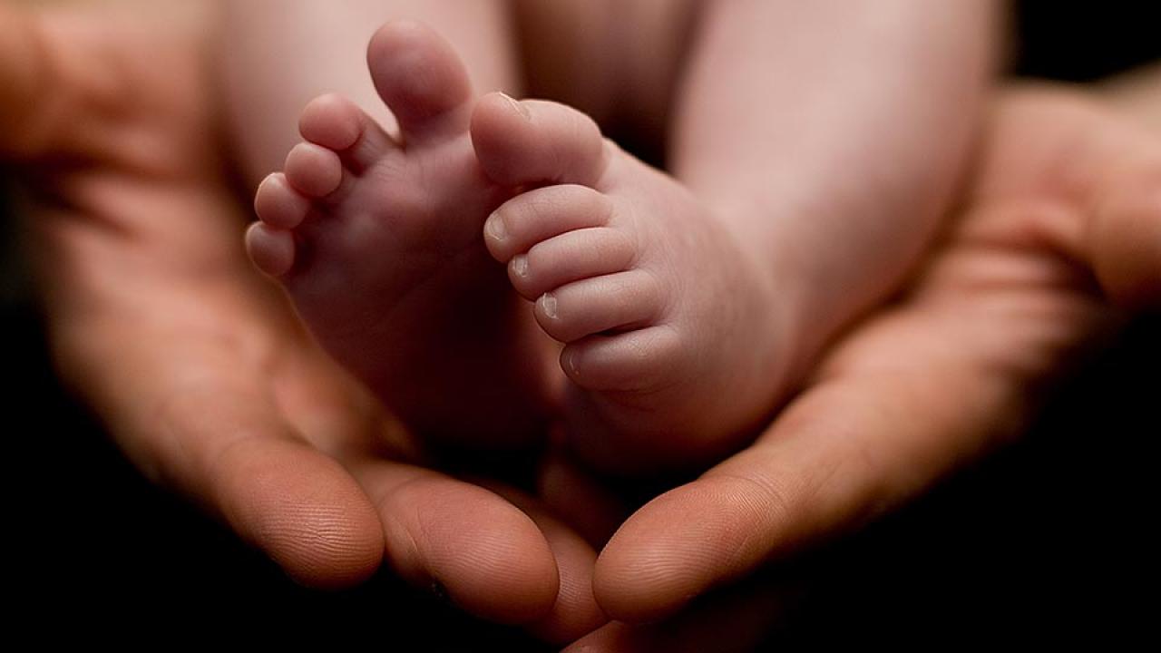 Adult hands hold baby's feet