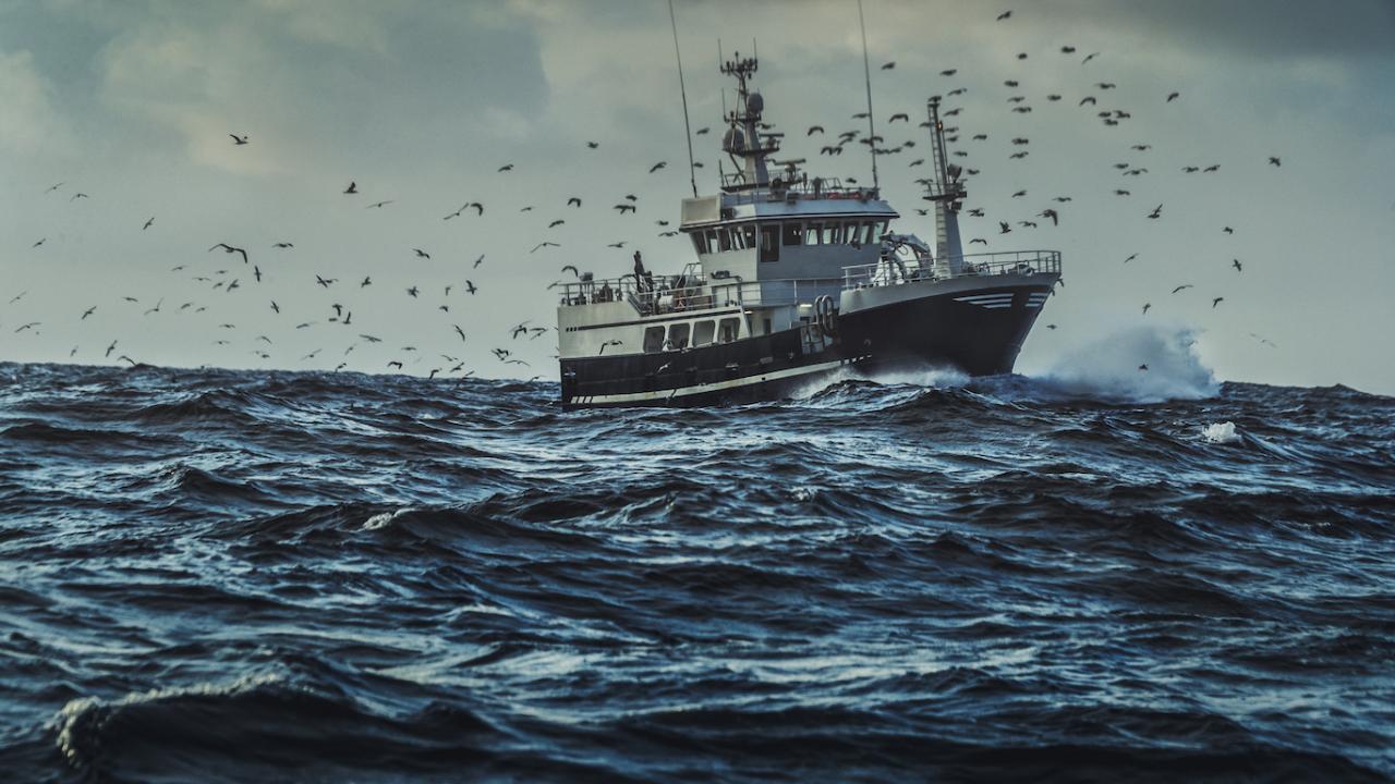 Fishing vessel on stormy ocean with seabirds flying around it.
