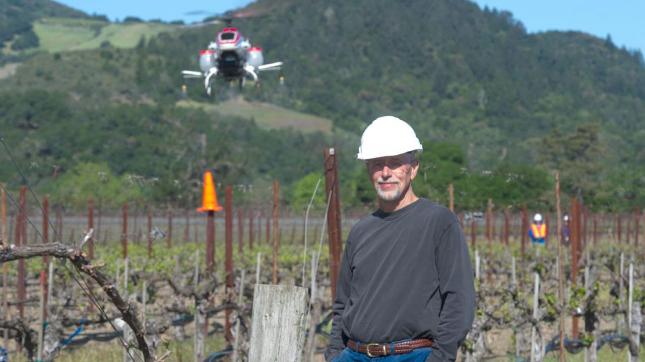 Professor D. Ken Giles in vineyard, with drone flying above