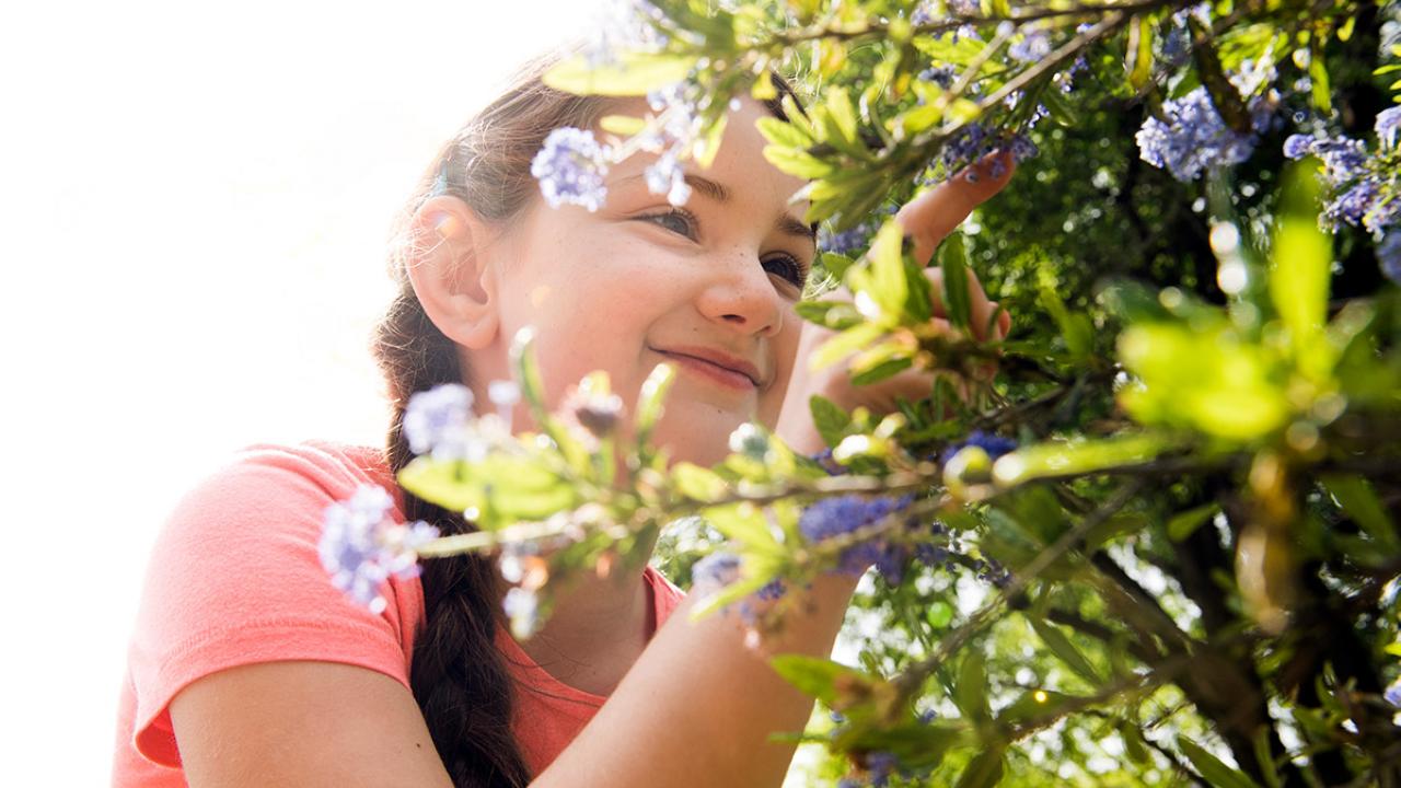 Young girl looks at a plant.