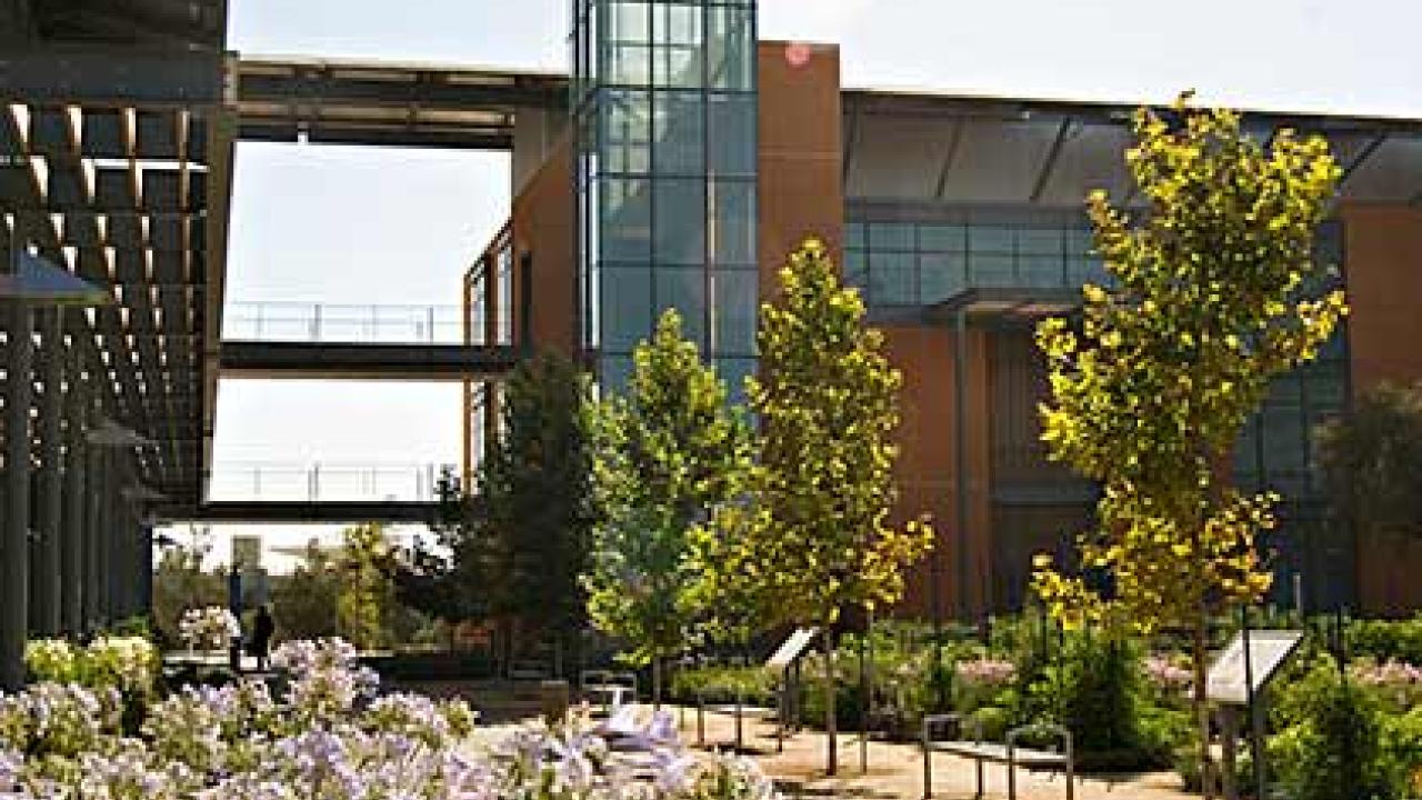 Outside shot of the Mondavi Insitute showing the garden and trees