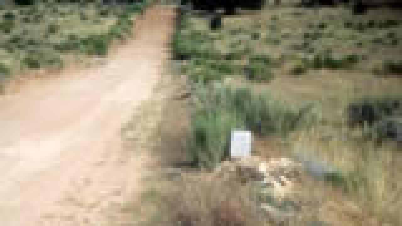 Photo of a graded dirt road going through countryside