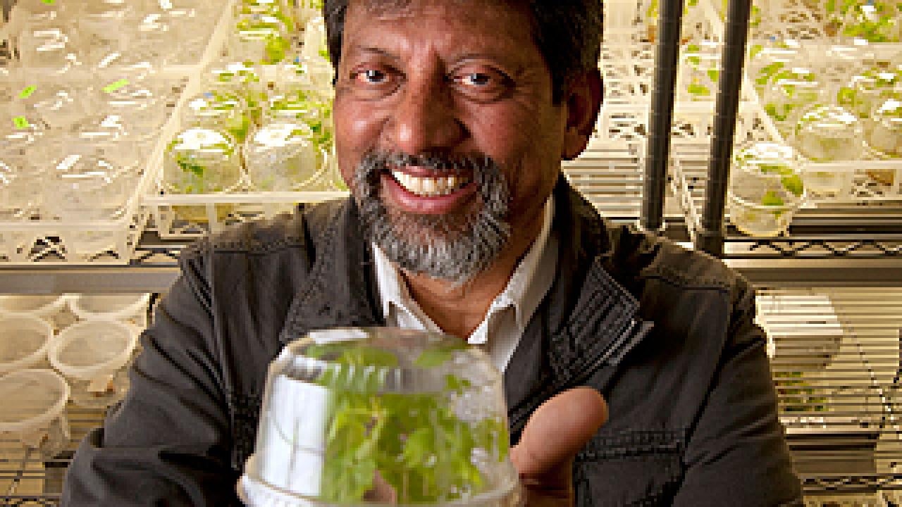 Man holding plant in plastic container