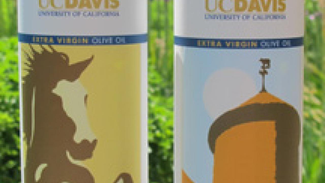 UC Davis' 2010 olive oils: a bottle of the Gunrock blend and a bottle of the Silo blend