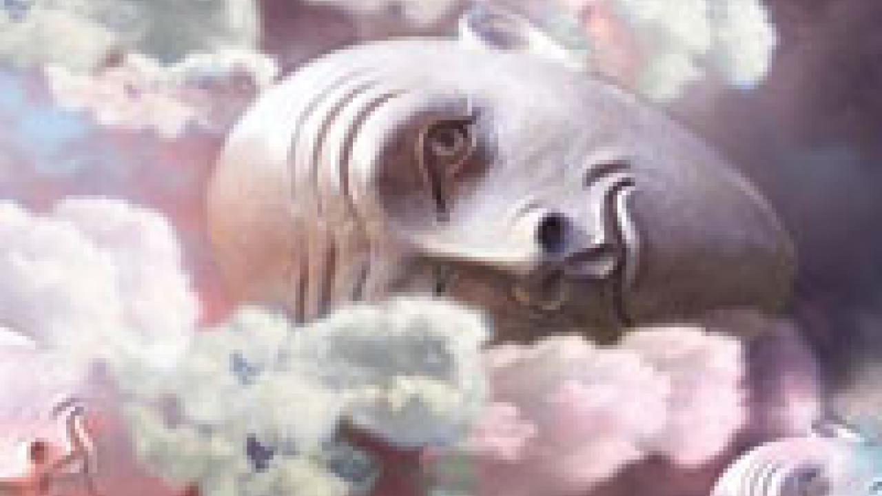 The non-student winning entry, Nancy Morrow&rsquo;s Heads in the Clouds, elicited this comment from a judge: &ldquo;Very charming and poignant use of the image and of Photoshop.&rdquo;