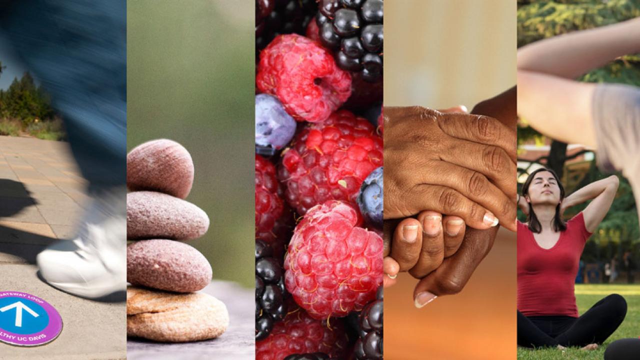 Healthy collage: walking, meditation (rocks), fruit, compassion, yoga