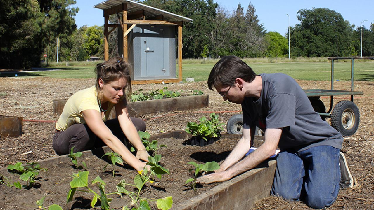 Photo: Students working in demonstration garden.