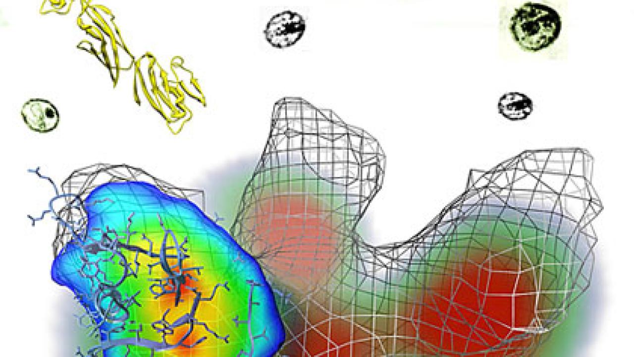 Graphic: colorful blobs, one with mesh, and the bottom of a mass at the top