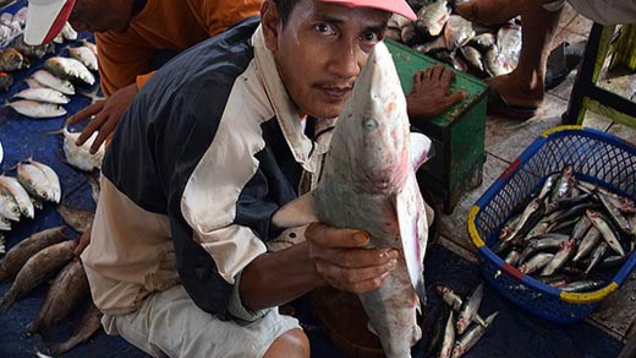 Man holding a big fish to the camera in a fish market with baskets of fish in the background