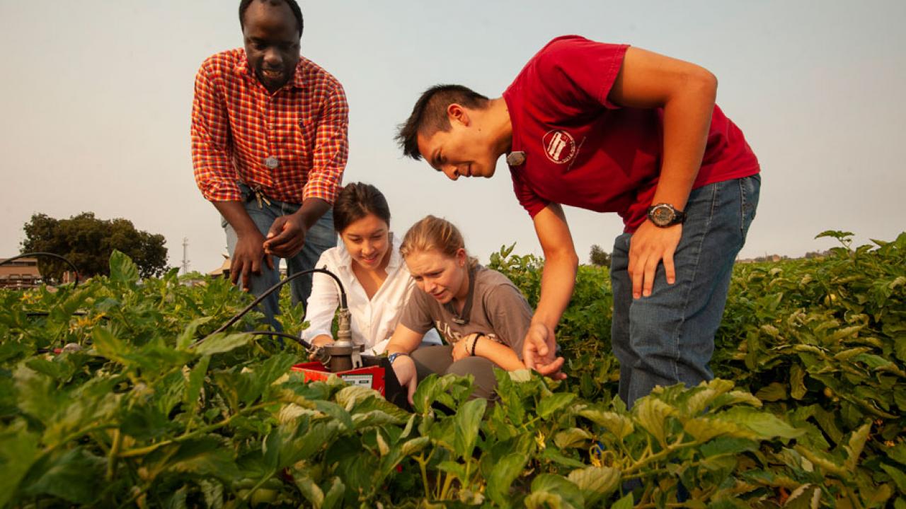 Faculty member and students in agricultural field