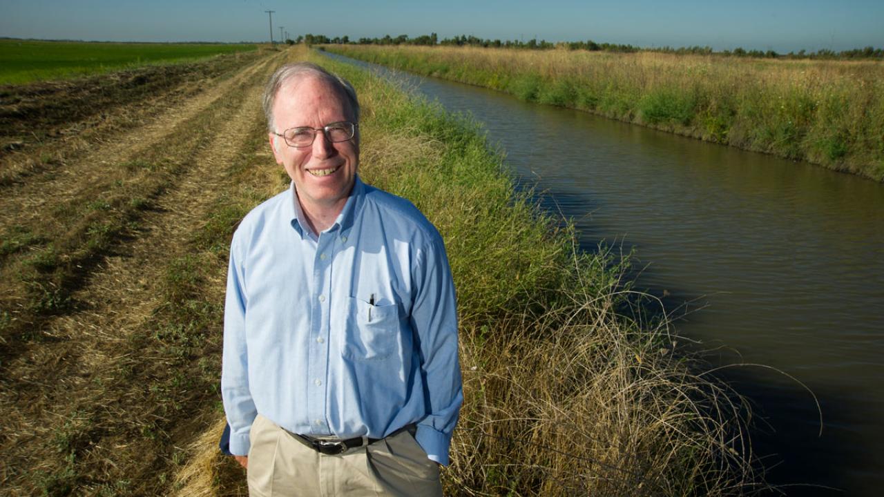 Jay Lund poses in wetlands.
