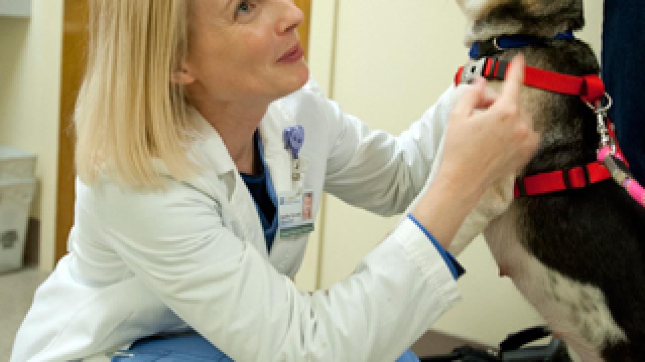Woman crouching and pointing to a dog without a top jaw