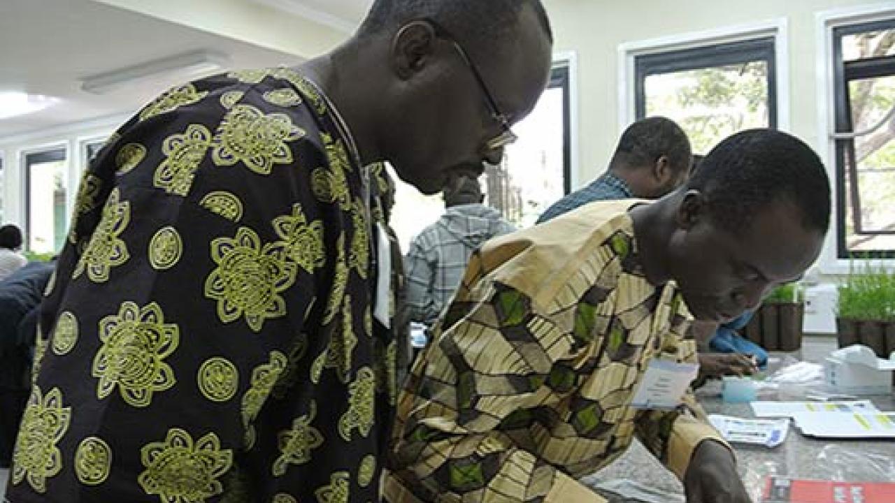 Two men in colorful African shirts lean over a counter